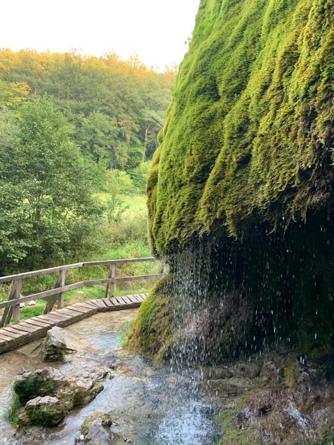 Ferienhaus Backesgarten Fuer 22 Personen Neichen Exterior photo